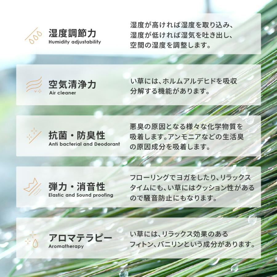 い草ラグ ウレタン入り コンパクト収納 裏貼有 防音 畳上敷き 畳 茣蓙 い草マット センターラグ  仙名 約180×240cm マット ラグマット カーペット 防カビ |  | 09