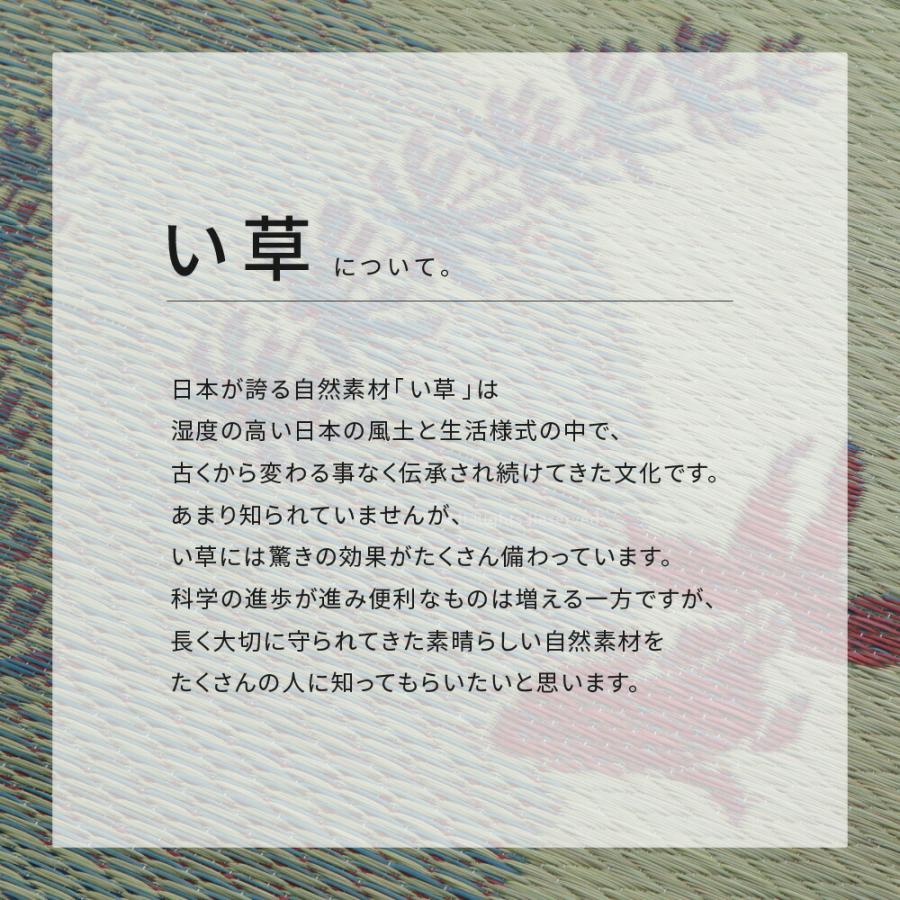 い草ラグ カーペット 裏貼有 金魚柄 い草 畳上敷き 畳 い草 茣蓙 い草マット センターラグ  マット ラグマット 約176×230cm 涼水 ブルー カーペット 防カビ |  | 05