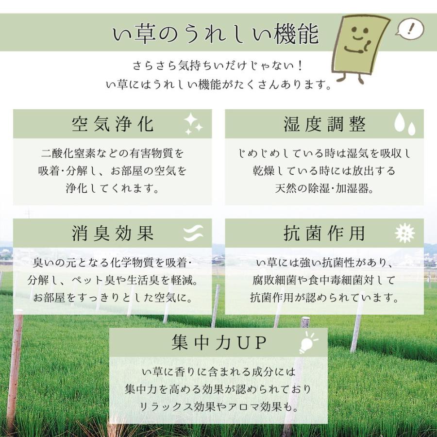 国産い草ラグ 裏貼り こずえ 約191×250cm 長方形 掛川織 日本製 抗カビ い草 畳上敷き 畳 茣蓙 い草マット センターラグ  マット カーペット 北欧 シンプル |  | 04