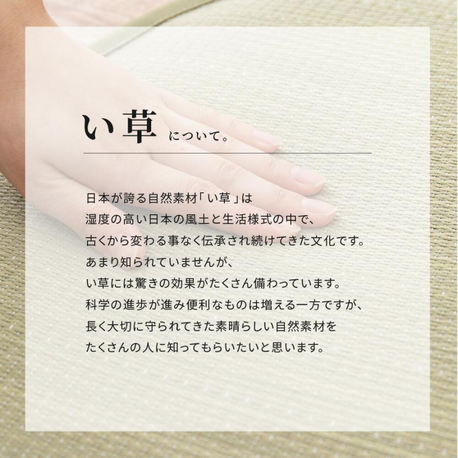 い草ラグ 裏貼り キューティーキャット 約176×176cm 猫柄 正方形 抗カビ い草 畳上敷き 畳 茣蓙 い草マット センターラグ  マット カーペット 北欧 シンプル |  | 06