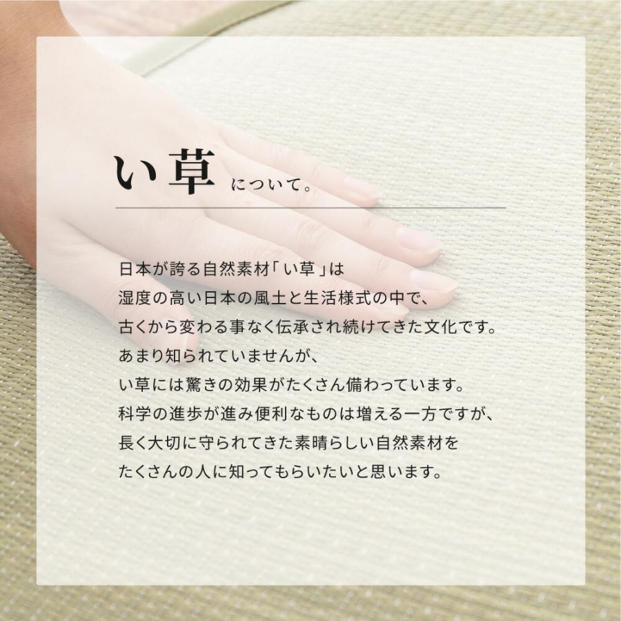 い草ラグ 裏貼り ギャベグラス 約176×220cm 長方形 抗カビ 消臭 抗菌 い草 畳上敷き 畳 茣蓙 い草マット センターラグ  マット カーペット 北欧 シンプル |  | 04
