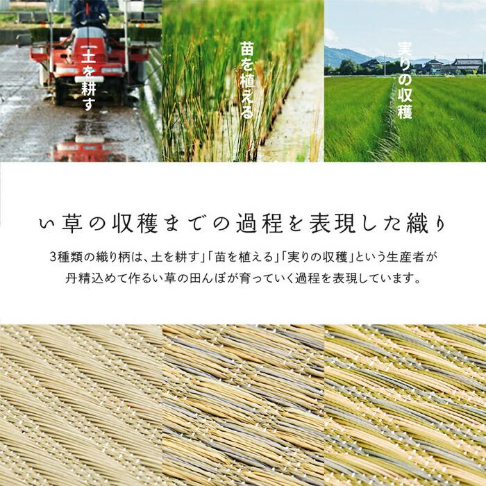 国産い草カーペット本間3帖(約191×286cm) 3畳 柄上敷き 花ござ い草ラグ いぐさ いくさ 敷き物 ブロック柄 和風 和モダン レトロ 和テイスト 敬老の日 和室 お | ブランド登録なし | 05