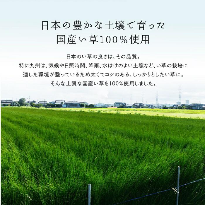 国産い草カーペット 本間4.5帖(約286×286cm) 4.5畳 柄上敷き 花ござ い草ラグ いぐさ いくさ 敷き物 ブロック柄 和風 和モダン レトロ 和テイスト 敬老の日 和 | ブランド登録なし | 09