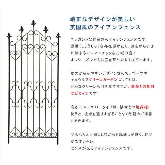フェンス 2枚組 屋外 アイアンフェンス150 ロータイプ フェンス アイアン ガーデンフェンス 枠 柵 間仕切り 目隠し 境目 トレリス 園芸 ドッグランフェンス |  | 02