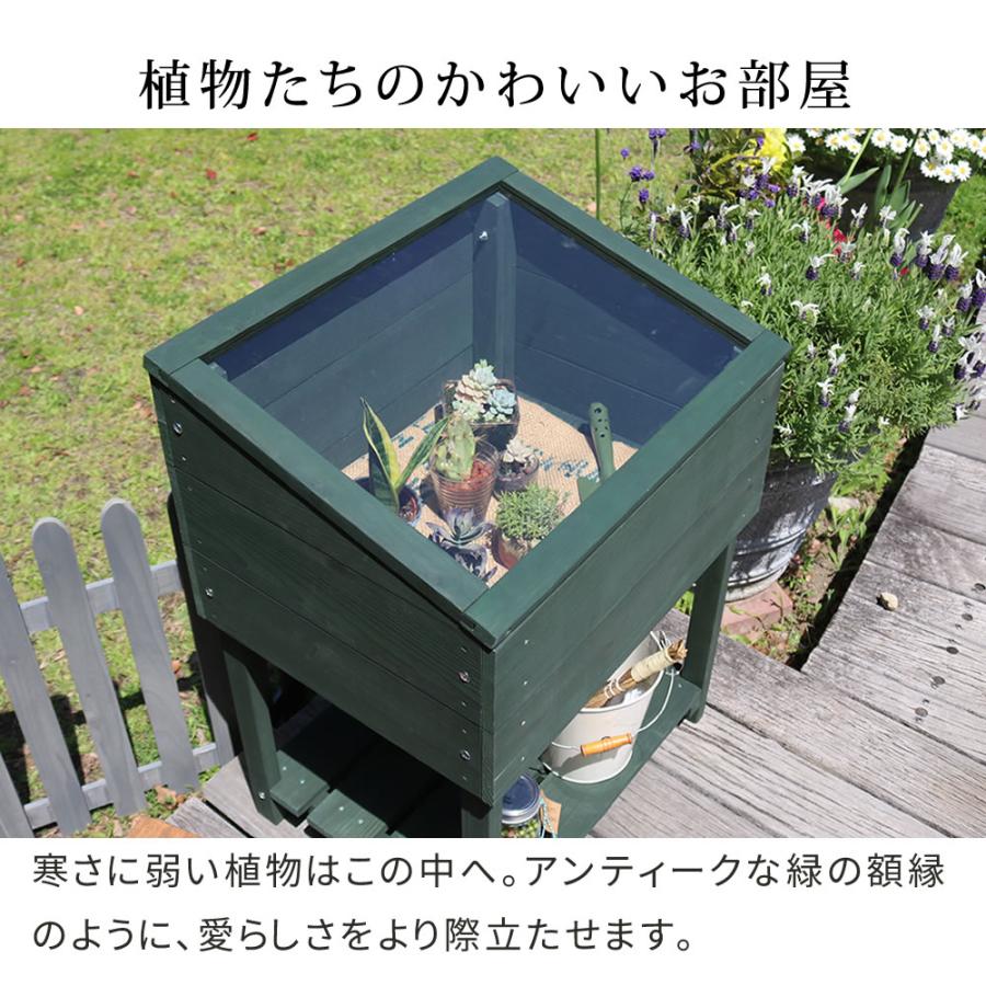 木製窓付グリーンハウス （温室） 温室 木製 ウッド 簡易 観葉植物 多肉植物 ガーデン 園芸 おしゃれ 飼育 ケース 保温 グリーン 緑色 北欧 レトロ エクステリア | ブランド登録なし | 06