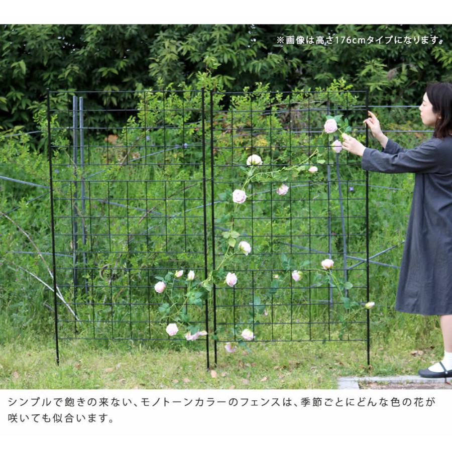 アイアンフェンス 高さ75「グラフ」8枚組 フェンス アイアン ガーデンフェンス 枠 柵 仕切り 目隠し 境目 格子 園芸 つるバラ 庭誘引 屋外 |  | 03