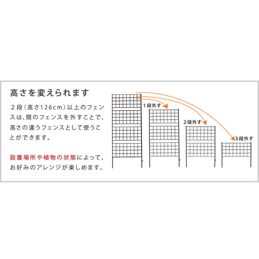 アイアンフェンス 高さ126「グラフ」2枚組 フェンス アイアン ガーデンフェンス 枠 柵 仕切り 目隠し 境目 格子 園芸 つるバラ 庭誘引 屋外 |  | 07