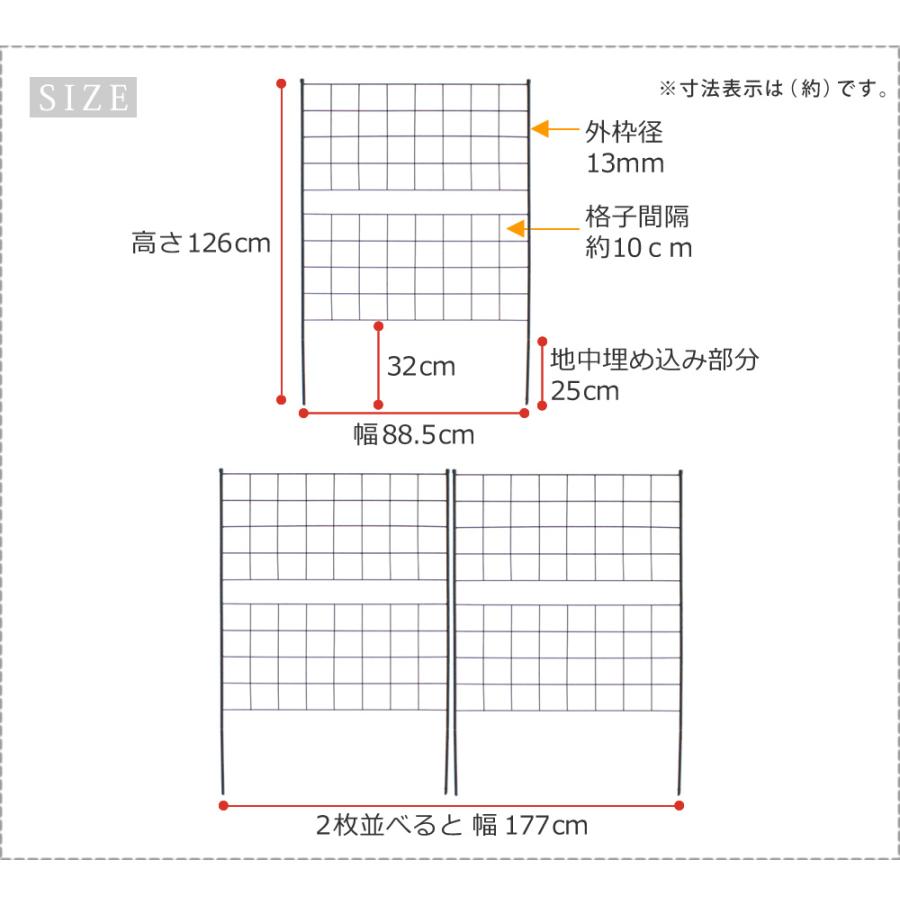 アイアンフェンス 高さ126「グラフ」2枚組 フェンス アイアン ガーデンフェンス 枠 柵 仕切り 目隠し 境目 格子 園芸 つるバラ 庭誘引 屋外 |  | 08