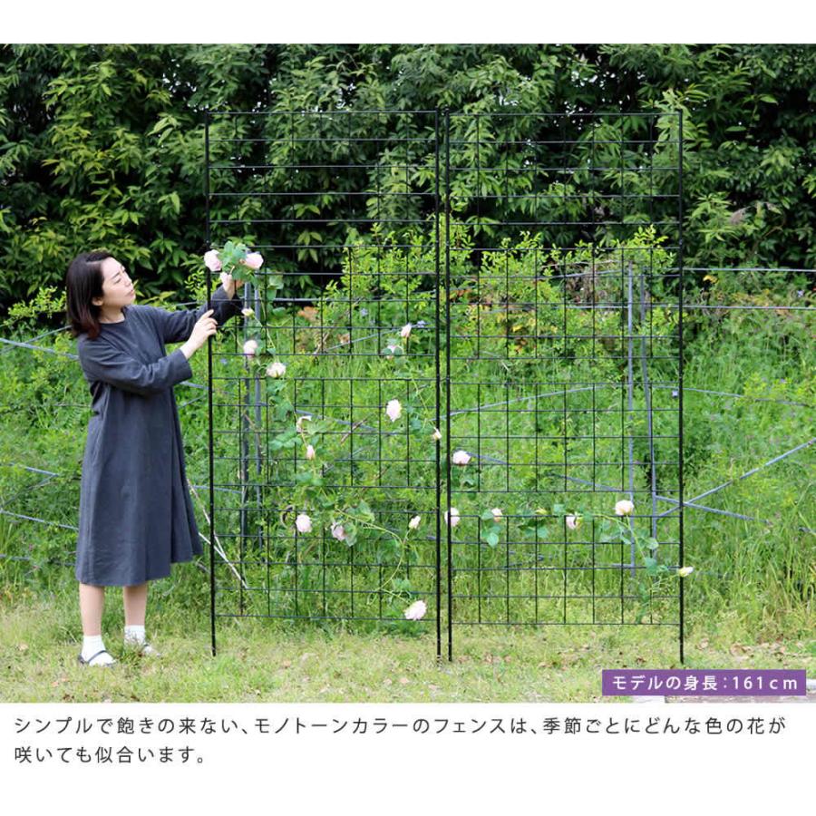 アイアンフェンス 高さ226 「グラフ」 1枚 フェンス アイアン ガーデンフェンス 枠 柵 仕切り 目隠し 境目 格子 園芸 つるバラ 庭誘引 屋外 |  | 03