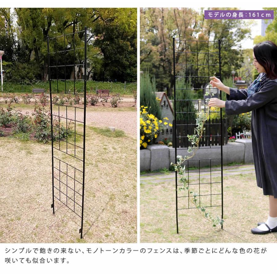 アイアンフェンス 高さ176 スリム「グラフ」 2枚組 フェンス アイアン ガーデンフェンス 枠 柵 仕切り 目隠し 境目 格子 園芸 つるバラ 庭誘引 屋外 |  | 03