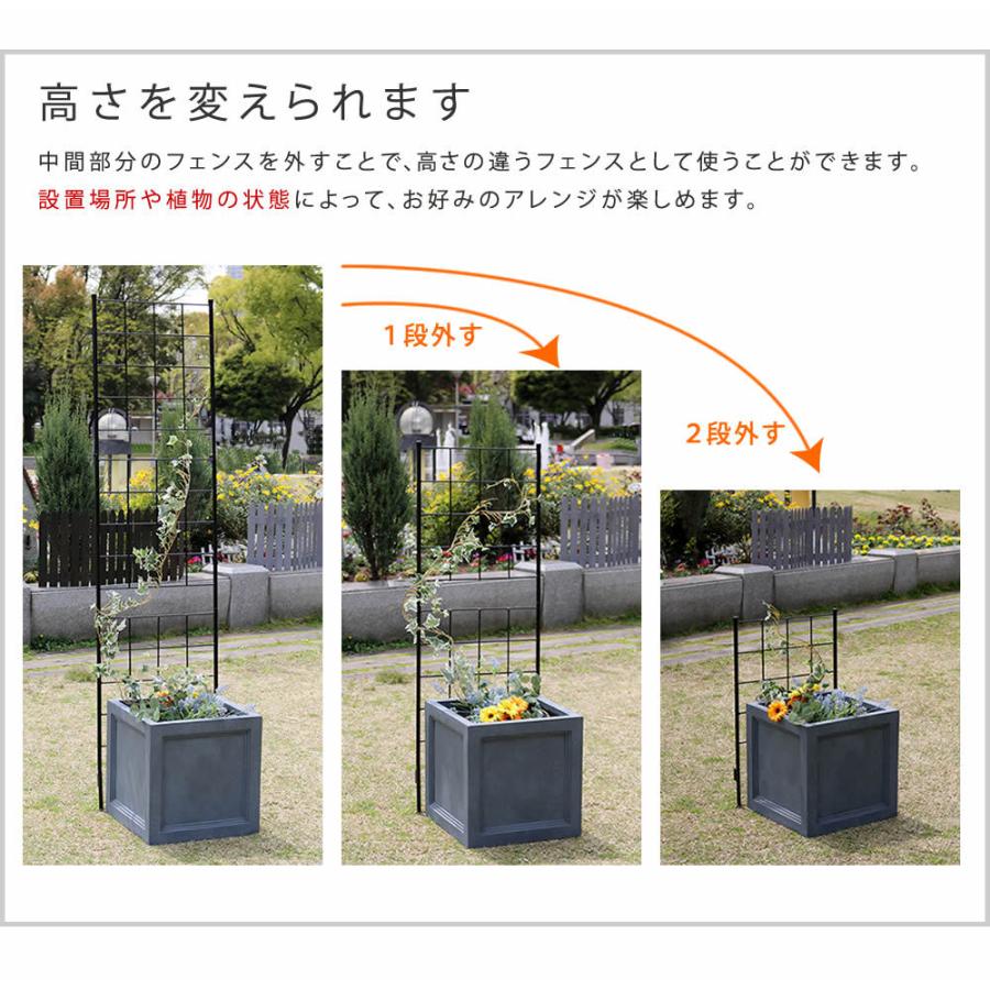 アイアンフェンス 高さ176 スリム「グラフ」 2枚組 フェンス アイアン ガーデンフェンス 枠 柵 仕切り 目隠し 境目 格子 園芸 つるバラ 庭誘引 屋外 |  | 07