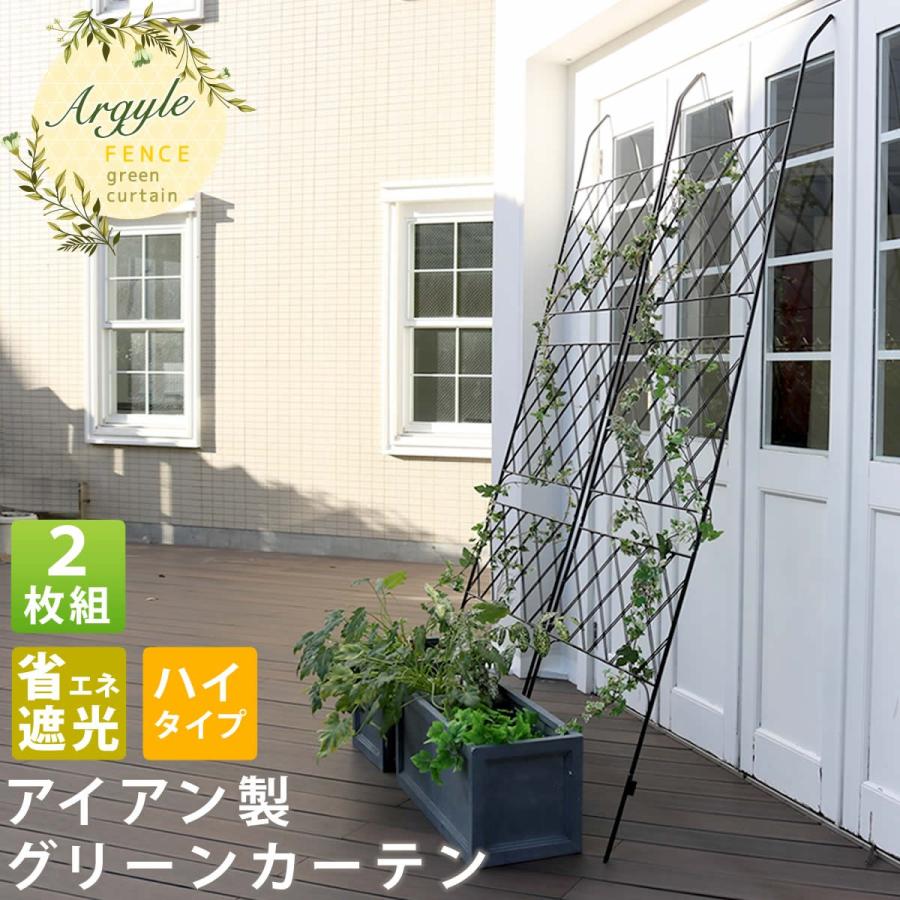 アイアン製グリーンカーテン アーガイル 2枚組 フェンス アイアン グリーンフェンス ゴーヤ 薔薇 バラ 朝顔 枠 柵 目隠し 境目 トレリス 園芸 屋外 | 