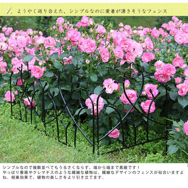 花壇フェンス アイアンフェンス フィーユ ロータイプ フラワーフェンス フェンス アイアン ガーデンフェンス 枠 柵 仕切り 目隠し 境目 トレリス 園芸 |  | 07