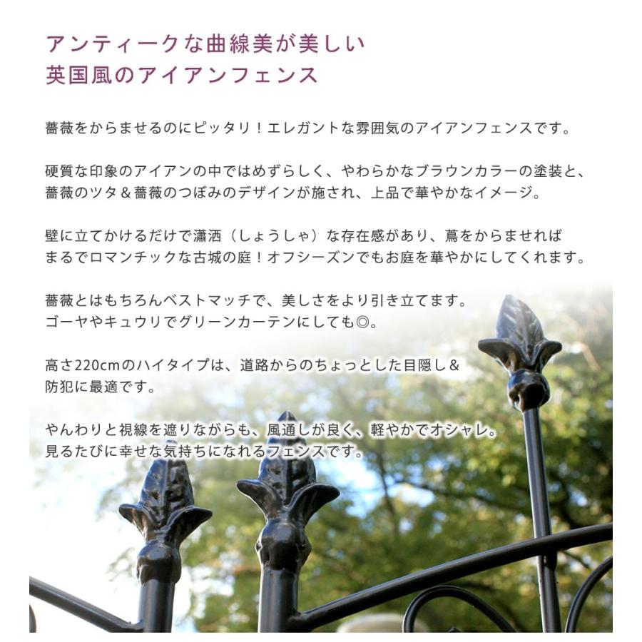 アイアンローズフェンス220 ハイタイプ 4枚組 アイアンフェンス フェンス アイアン ガーデンフェンス 枠 柵 目隠し 境目 トレリス 園芸 つるバラ 庭誘引 屋外 |  | 02