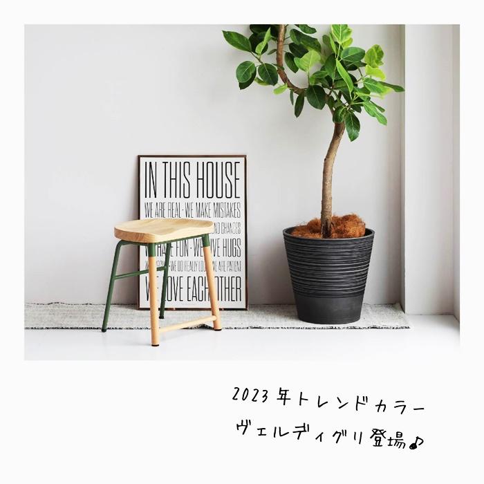 スツール おしゃれ 北欧 カントリー 楕円形 腰掛け ホワイト グリーン 天然木 コンパクト 省スペース いす イス チェア 木製 スチール かわいい ナチュラル 店舗 |  | 01