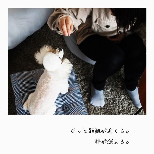 ペットソファ トランク型 ペットクッション ペットマット ペットベッド グレー 犬ベッド アンティーク おしゃれ 北欧 モダン 収納付き グレンチェック かわいい | ブランド登録なし | 02