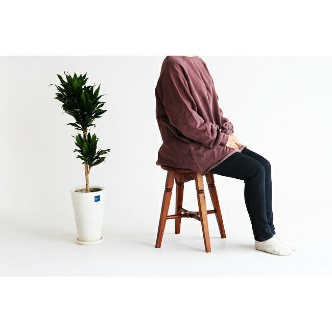 ロースツール 北欧 スツール 天然木 チェア ウッドチェア 椅子 いす おしゃれ ローチェア インテリア サイドテーブル |  | 09