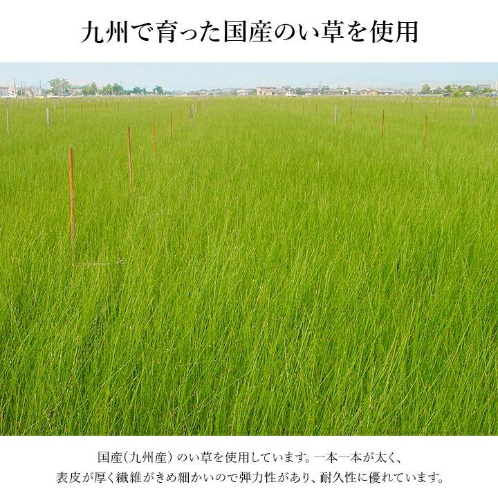 玄関マット 上がり框 和モダン クッション性 花柄 高級感アップ 室内 天然素材 インテリア 約35×120cm おすすめ 洗面所 リビング エレガント 滑り止め |  | 06