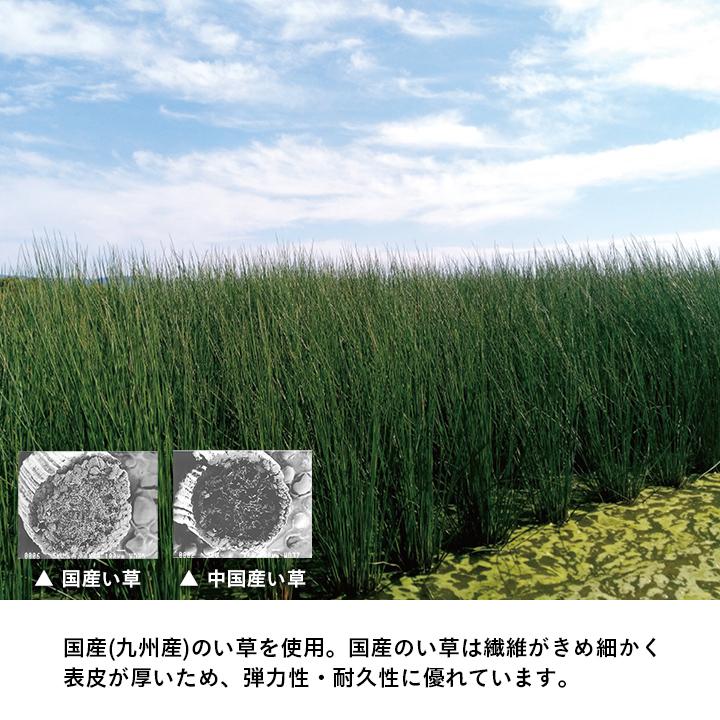 置き畳 約82×82×1.8cm 4P 4枚組 い草 日本製 消臭 抗菌防臭 ダニ増殖抑制 無地 ユニット畳 抗菌防臭 滅ダニシート フローリング 置き畳み おしゃれ |  | 09