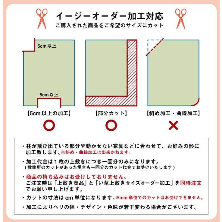 い草ラグ 夏用 い草 上敷き い草カーペット カーペット ラグ 8畳 江戸間 制菌 消臭 小林製薬KOBA-GUARD 江戸間8畳 約352×352cm い草上敷き センターラグ |  | 12