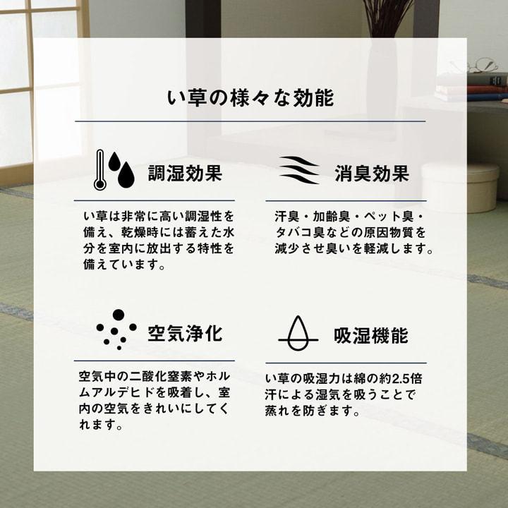 い草ラグ 夏用 い草 上敷き い草カーペット カーペット ラグ 8畳 江戸間 制菌 消臭 小林製薬KOBA-GUARD 江戸間8畳 約352×352cm い草上敷き センターラグ |  | 07