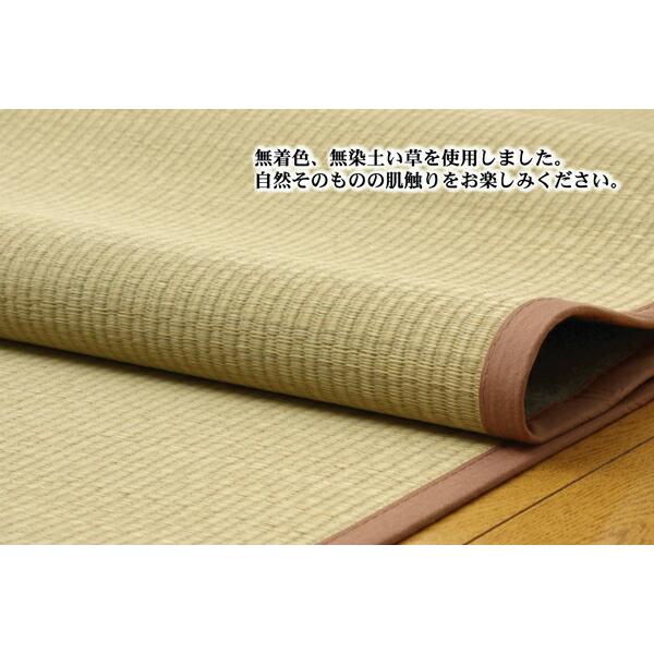 い草ラグ 夏用 い草 上敷き 6畳 い草カーペット カーペット い草 ラグ 無染土 い草上敷 DX素肌美人 江戸間6畳 約261×352cm い草上敷き センターラグ |  | 02