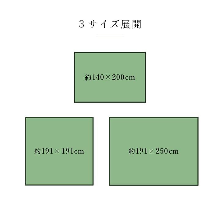 ラグ 純国産 国産 日本製 い草 DXカラフルブロック 約140×200cm い草カーペット カーペット い草ラグ ふっくら い草 上敷き い草上敷き 日本製 チェック |  | 12