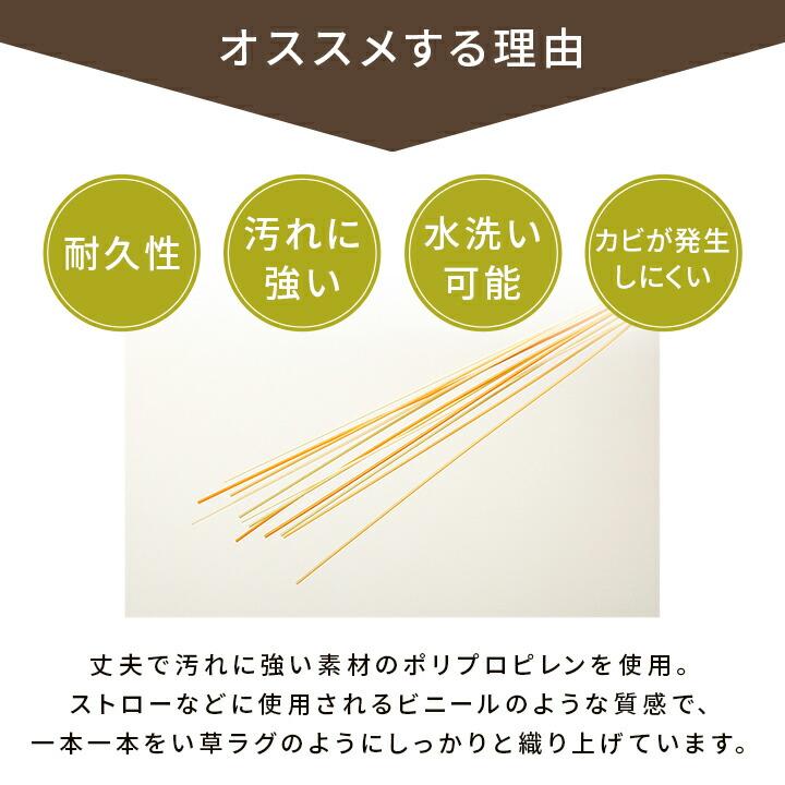 洗える ござ 日本製 カーペット 敷詰 ラグ ペット 無地 江戸間3畳（約174×261cm） 茣蓙 水拭き 水洗い 上敷き レジャーマット アウトドア ピクニックシート |  | 04