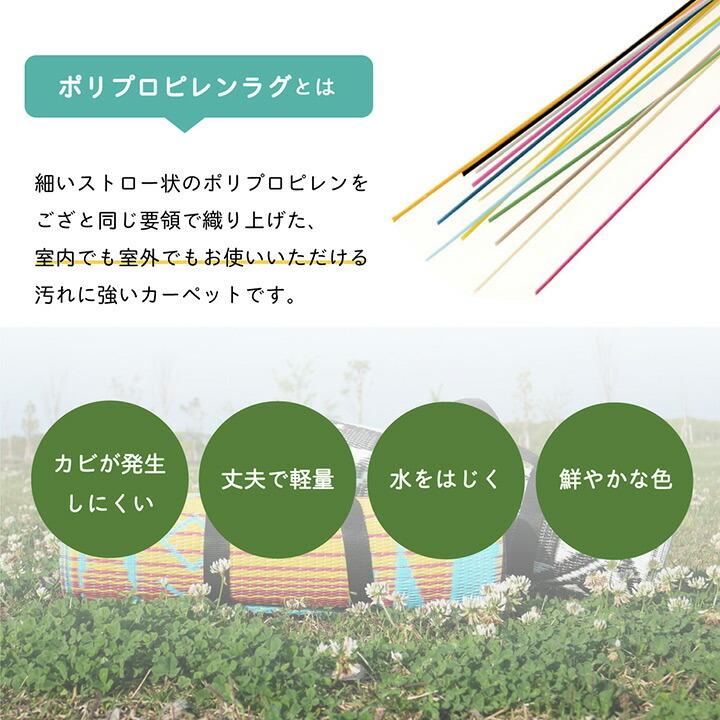 日本製 洗える レジャーシート ラグ 撥水 はっ水 アウトドア ピクニックシート 約87×140cm 国産 水拭き 水洗い 屋外 屋内 カーペット  上敷き 和室 |  | 04