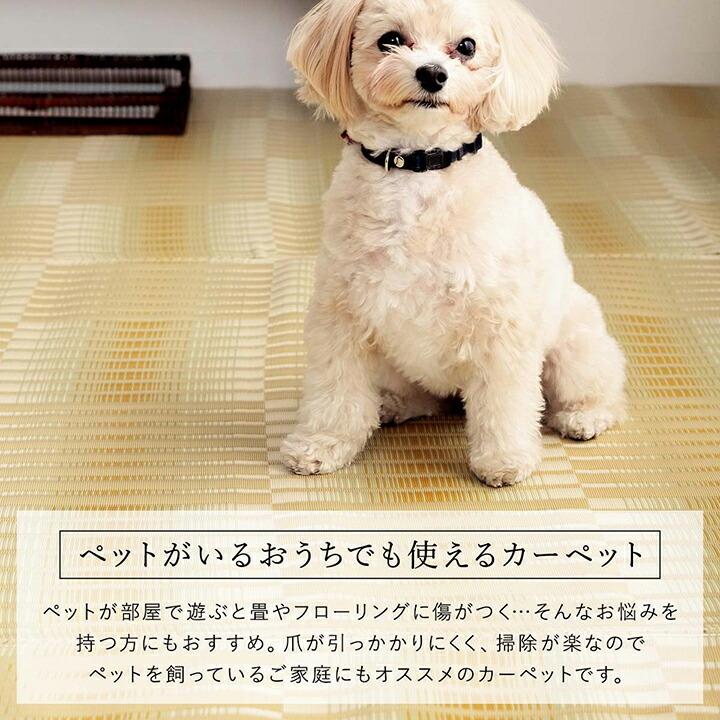 洗える ござ 日本製 国産 カーペット 本間1畳（約95.5×191cm） 丈夫 除菌スプレー対応 敷詰 ラグ 敷物 アウトドア レジャー ペット 長方形 上敷きカーペット |  | 02