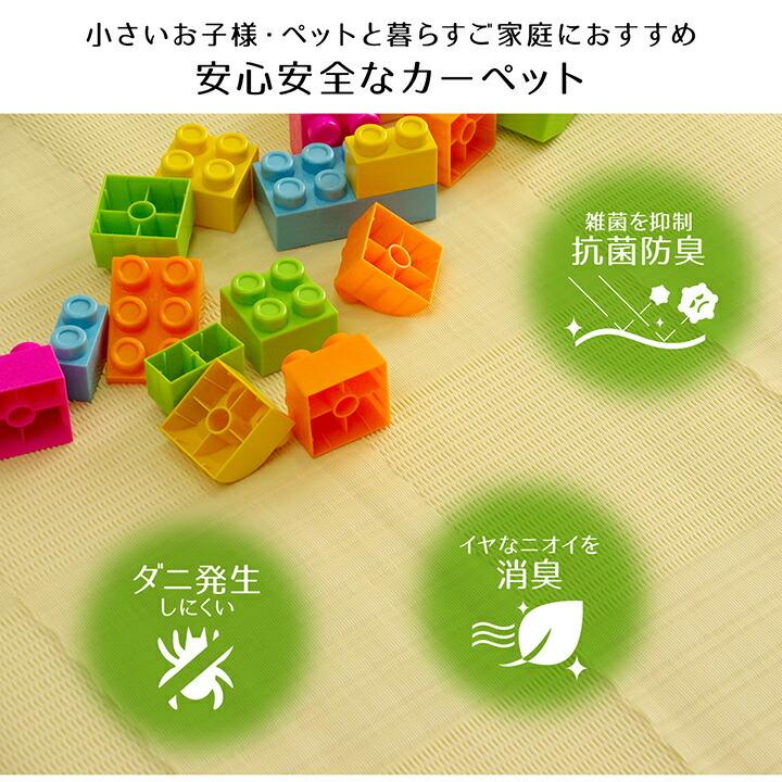 ラグ 洗える カーペット 日本製 国産 消臭 アウトドア レジャー 江戸間10畳 約435×352cm 水拭き 水洗い 屋外 屋内 カーペット リビング ダイニング 上敷き 和室 |  | 02