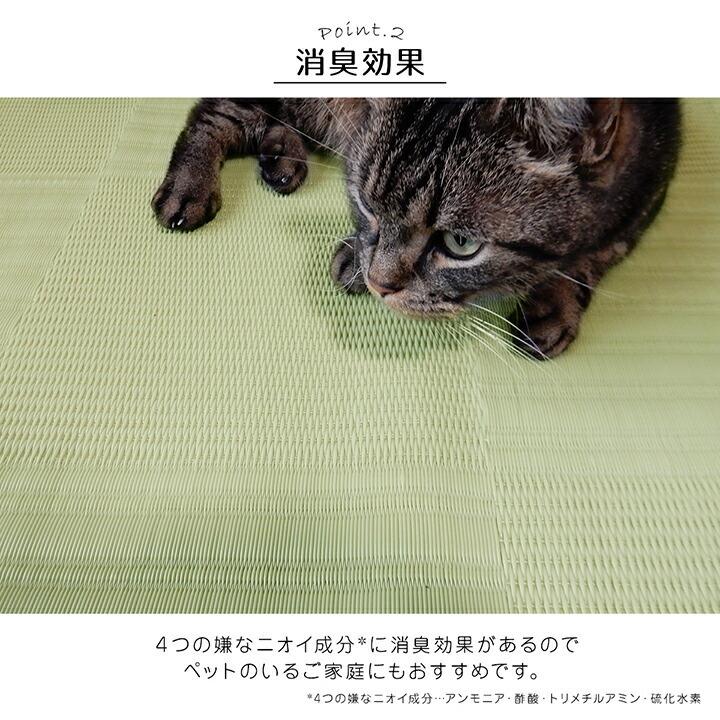 ラグ 洗える カーペット 日本製 国産 消臭 アウトドア レジャー 江戸間10畳 約435×352cm 水拭き 水洗い 屋外 屋内 カーペット リビング ダイニング 上敷き 和室 |  | 04