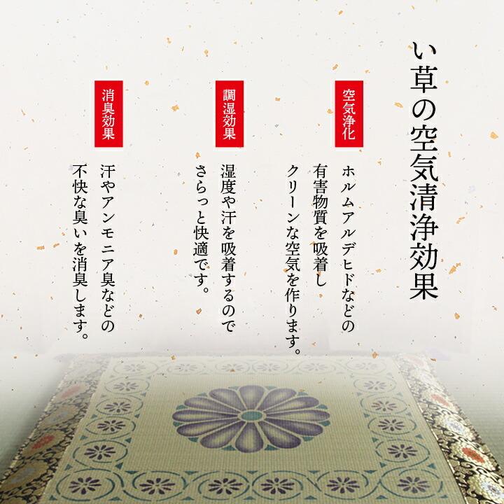 純国産 い草御前 仏前 座布団 約70×70cm 座蒲団 ザブトン ざぶとん 日本製 和風 和室 客間 ご法事 法要 お盆 お彼岸 仏具 贈り物 敬老の日 菊柄 |  | 05