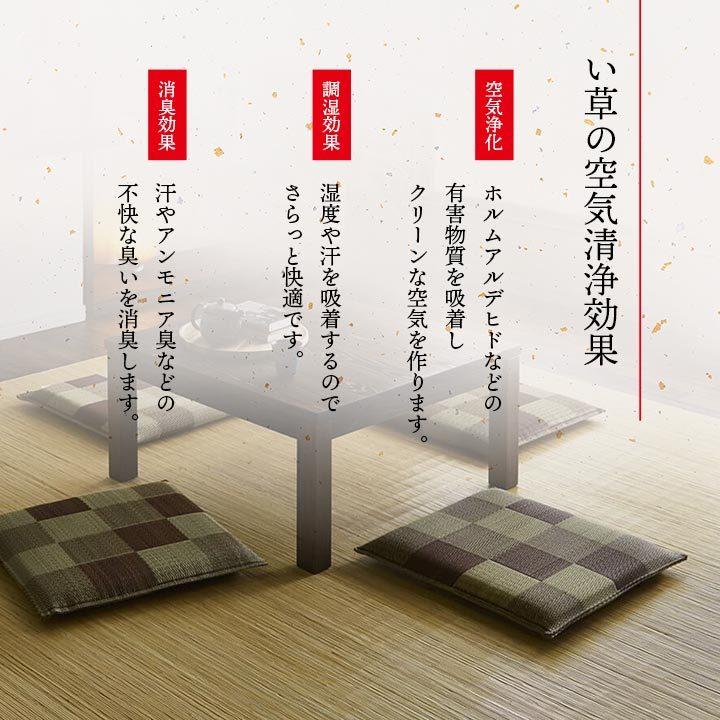 日本製 い草 座布団 クッション ブロック柄 2枚組 約55×55cm い草座布団 座蒲団 ざぶとん 抗菌 防臭効果 ひんやり クッション性イ草座布団 いぐさ イ草 井草 |  | 03