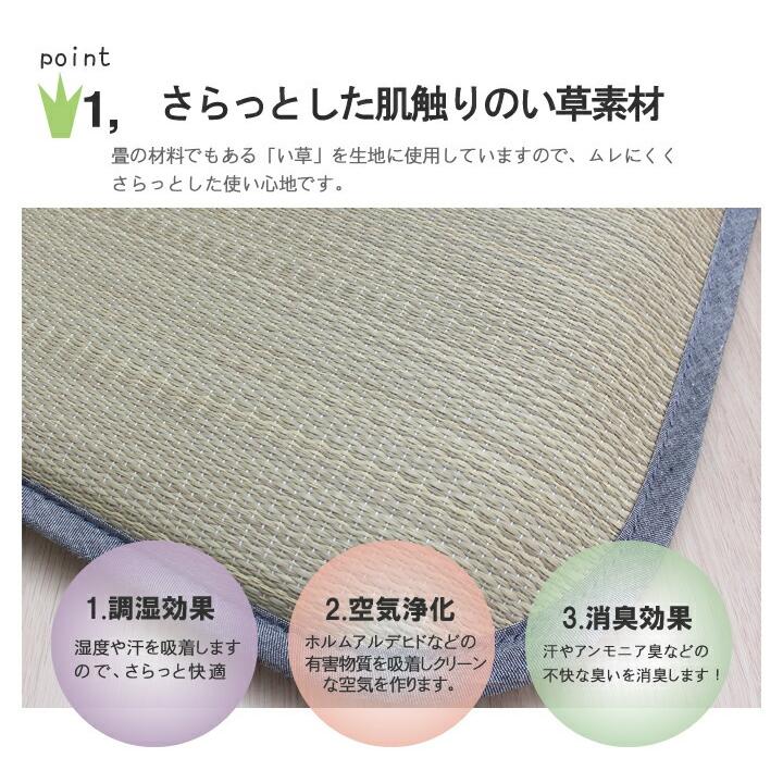座布団 い草座布団 い草クッション い草 国産 となりのトトロ トトロ 木いちご 捺染アドラ座布団 約55×55cm 2枚組 座蒲団 ザブトン ざぶとん イ草座布団 |  | 04