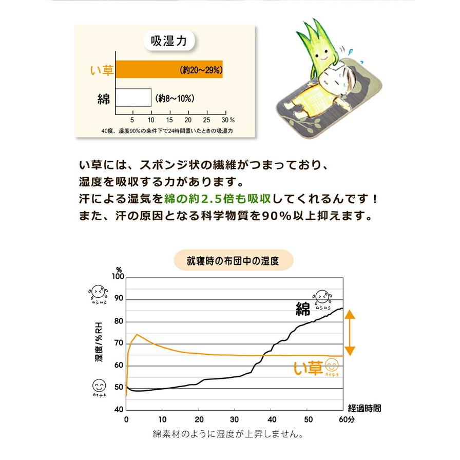 送料無料 長座布団 い草 アニマル柄 ござまる 長座布団 約55×110cm 座布団 ベビーマット おむつ替えマット 座蒲団 ごろ寝マット お昼寝マット  い草マット |  | 06