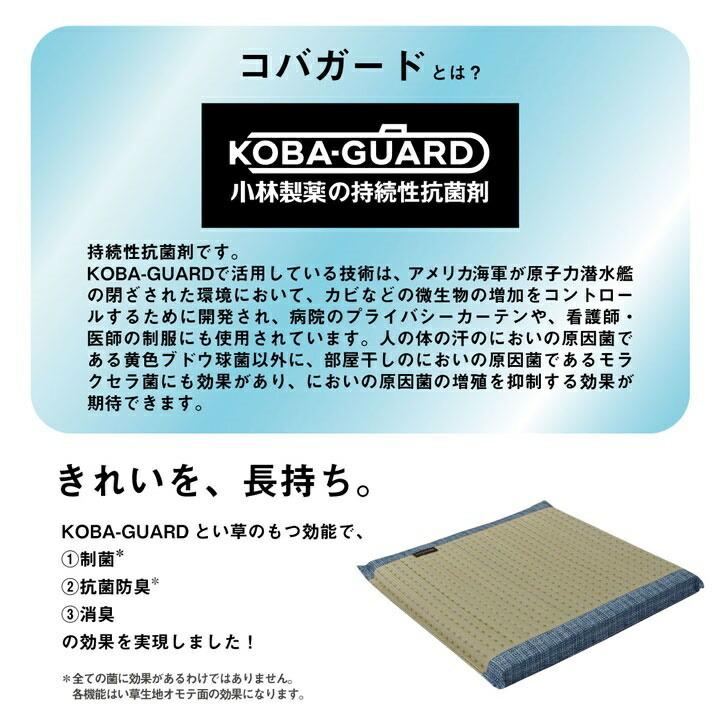 クッション へたりにくい クッション性 い草 抗菌防臭 消臭 シンプル 小林製薬コバガード使用 約43×43cm |  | 03