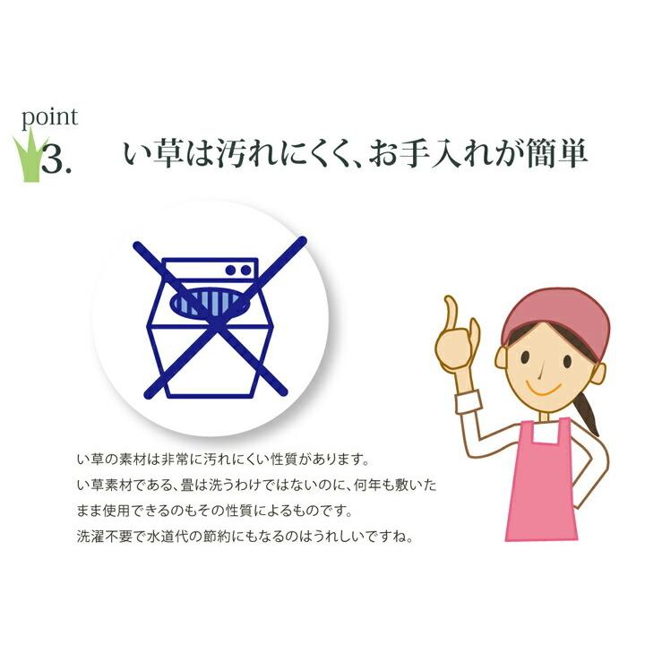 い草クッション 椅子用 2枚組 約40×40cm クッション い草 シート 花柄 『フォンターナ』 抗菌 防臭 |  | 04