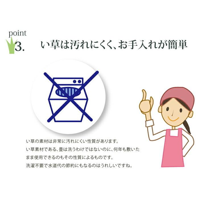 クッション い草 約40×38cm 2枚組 い草クッション チェアパッド チェアーパッド チェアマット チェアパット チェアーパット バテイ 馬蹄 フォンターナ 花 柄 |  | 04