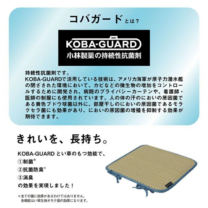 クッション ひも付き い草 抗菌防臭 消臭 シンプル 小林製薬コバガード使用 約40×40cm |  | 03
