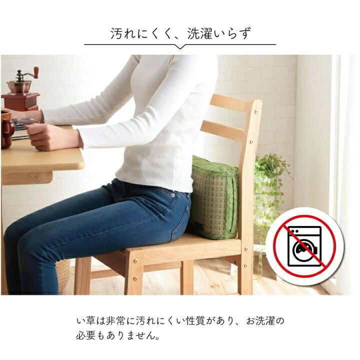クッション くつろぎ リラックス い草 抗菌防臭 消臭 シンプル 小林製薬コバガード使用 約38×20cm |  | 08