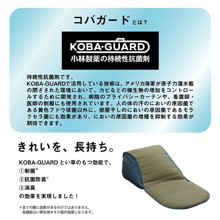 クッション くつろぎ ごろごろ い草 抗菌防臭 消臭 シンプル 小林製薬コバガード使用 約48×90cm |  | 03
