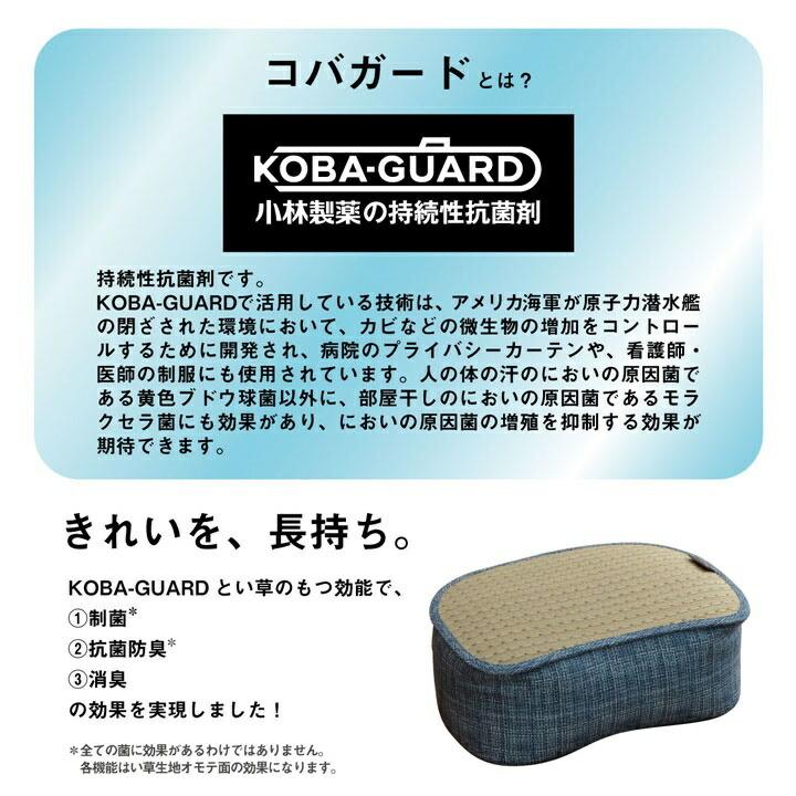 クッション くつろぎ リラックス スマホ い草 抗菌防臭 消臭 シンプル 小林製薬コバガード使用 約30×40×15cm |  | 03