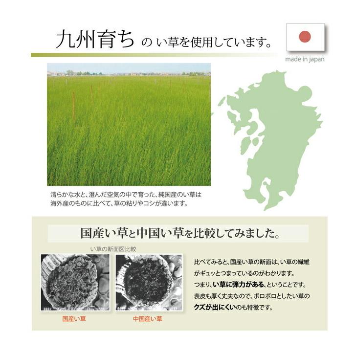 送料無料 枕 まくら い草枕 ピロー 国産 無地 ベビー キッズ さわやか 平枕 約30×20cm 吸湿 抗菌 消臭 赤ちゃん 小さい ベビー枕 ギフト プレゼント |  | 04
