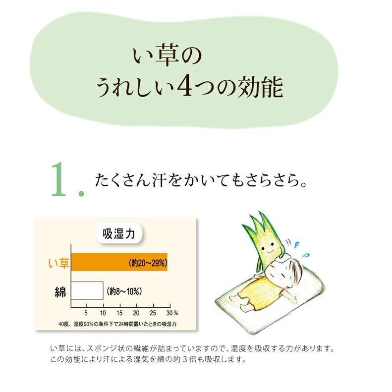 送料無料 枕 まくら い草枕 ピロー 国産 無地 ベビー キッズ さわやか 平枕 約30×20cm 吸湿 抗菌 消臭 赤ちゃん 小さい ベビー枕 ギフト プレゼント |  | 06