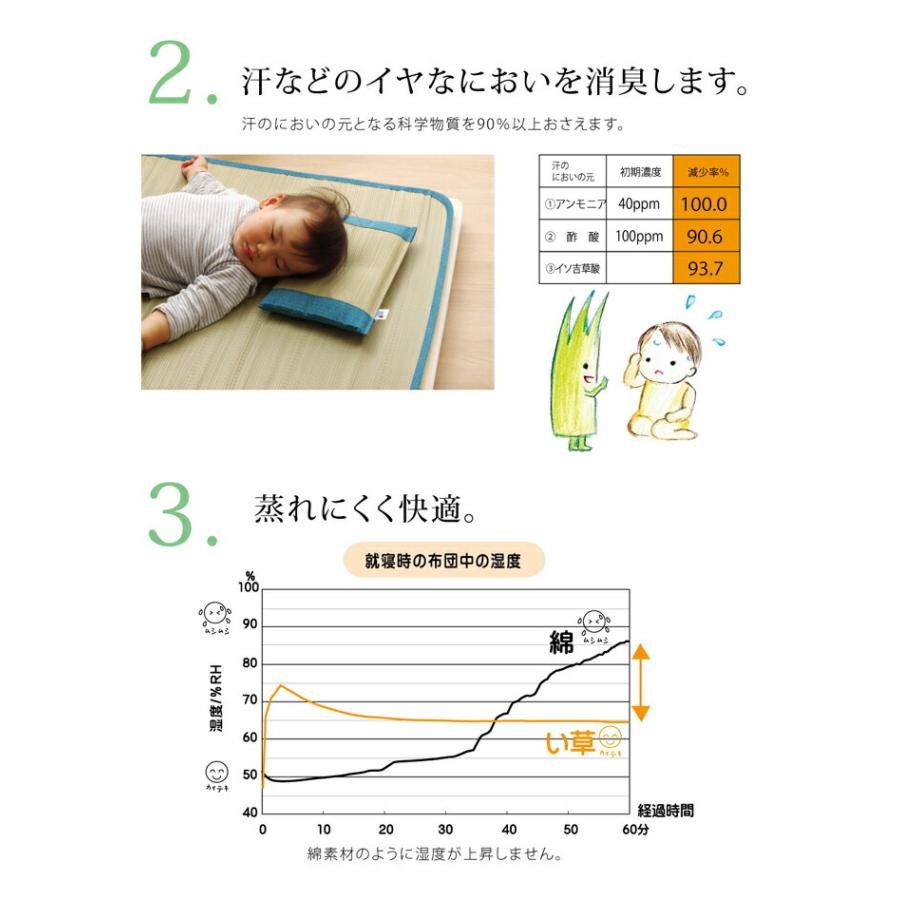 送料無料 枕 まくら い草枕 ピロー 国産 無地 ベビー キッズ さわやか 平枕 約30×20cm 吸湿 抗菌 消臭 赤ちゃん 小さい ベビー枕 ギフト プレゼント |  | 07