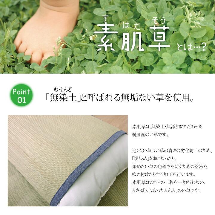 送料無料 国産無染土い草使用 デニム素肌草 枕パッド まくらパッド 約44×66cm ピロパッド い草パッド い草枕パッド おしゃれ 贈り物 ギフト プレゼント |  | 02