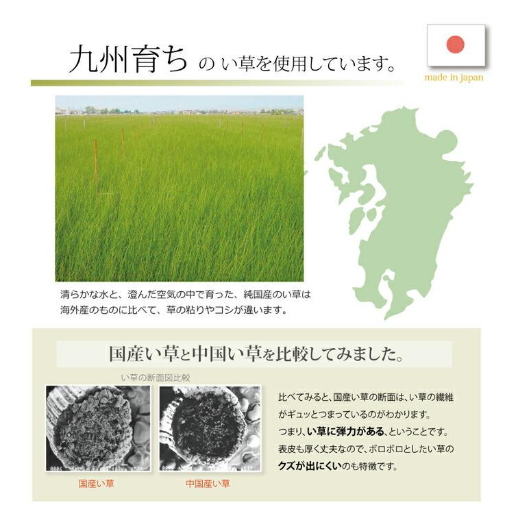 送料無料 枕 まくら い草枕 消臭 ピロー 国産 おふくろの枕 くぼみ平枕 約50×30cm 低反発ウレタンチップ 吸湿 抗菌 消臭 おしゃれ 贈り物 ギフト プレゼント |  | 02