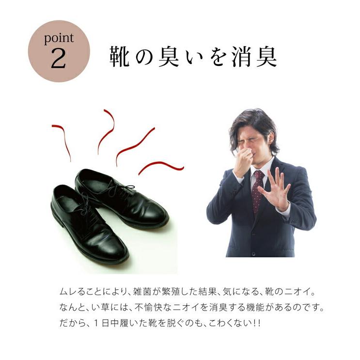 送料無料 インソール レディース 消臭 抗菌 『い草インソール』 約25cm なかじき ナカジキ 中敷 |  | 05