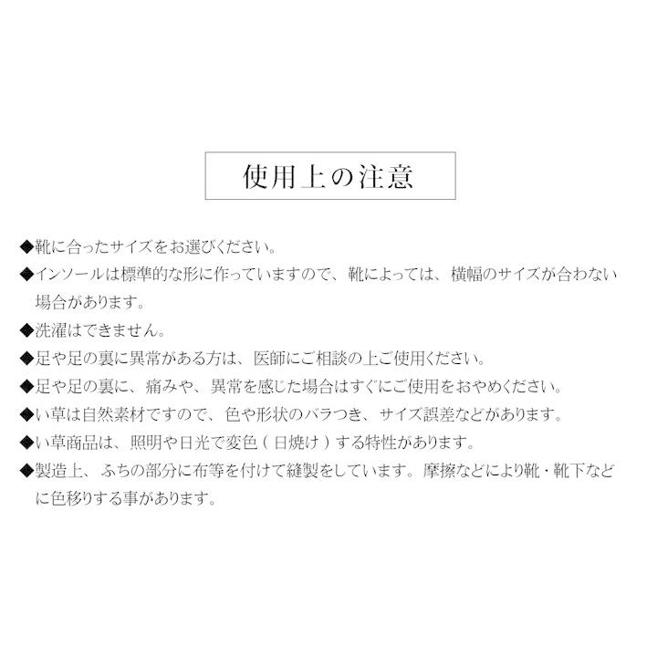 送料無料 インソール メンズ 消臭 抗菌 い草インソール 約30cm 中敷き なかじき ナカジキ 足 疲れ 消臭 湿度調整 日本製 |  | 12